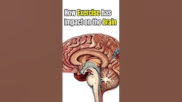 How Exercise has Impact on Brain and Ageing 🧠 💪