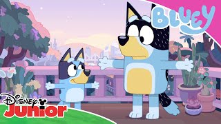 😸 Bluey the Copycat | Bluey | Disney Kids