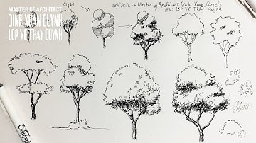 Pen & Ink drawing tutorials Tree sketch drawing for architecture daily sketches