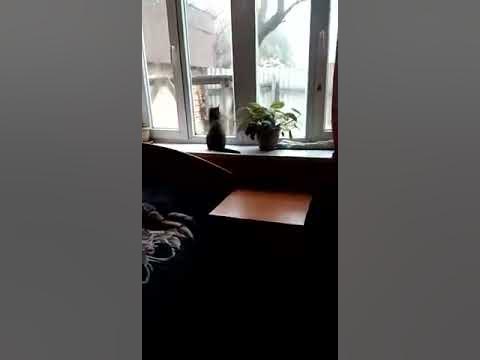 смотрю в даль - YouTube