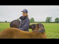Should horse racing be banned? | Human Animal