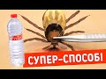 Что делать, если укусил КЛЕЩ? ПАРАЗИТЫ!