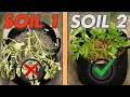 5 SOIL MIXES THAT CAN MAKE OR BRAKE GROWING POTATOES IN CONTAINERS AND BAGS!