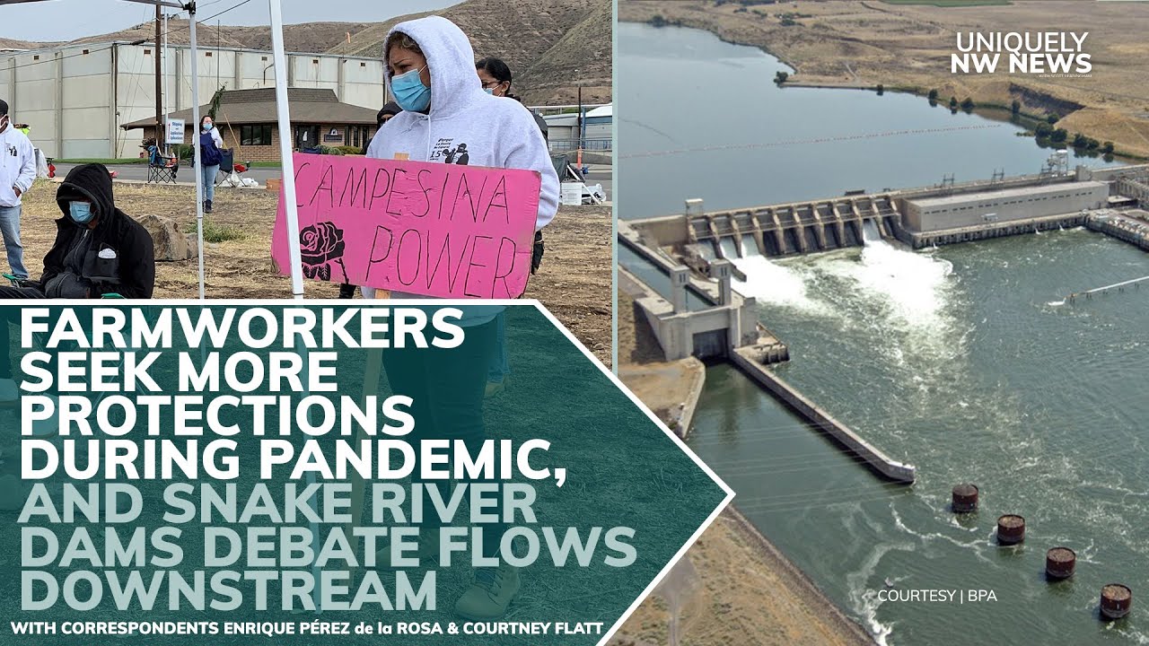 Farmworkers Northwest Public Broadcasting