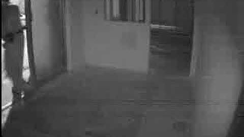 Intruder apprehended and on his way to the patrol car