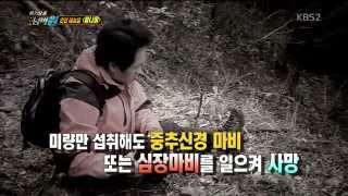 [HIT] 위기탈출 넘버원 - 봄나물로 오인하기 쉬운 독초는 어떤것들이 있을까. 20150406