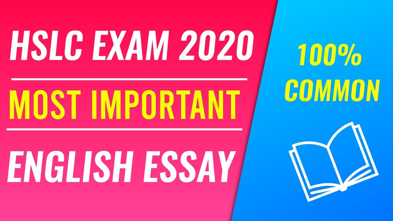 essay seba class 10