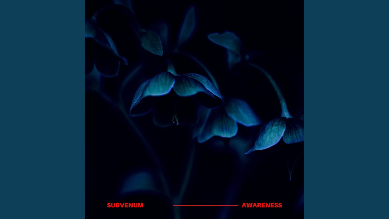 Guarda Awareness su YouTube Guarda Awareness su YouTube