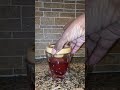 Old Fashioned with a Hibiscus Twist