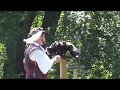 Adorable Grimley the Black Vulture 9-4-2017