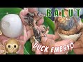 🔴ASMR Balut Duck Embryo EXOTIC DELICACY ep.41