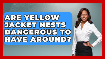 Are Yellow Jacket Nests Dangerous To Have Around? - Insects and Invaders