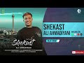 Ali ahmadiyani  shekast  official audio track    