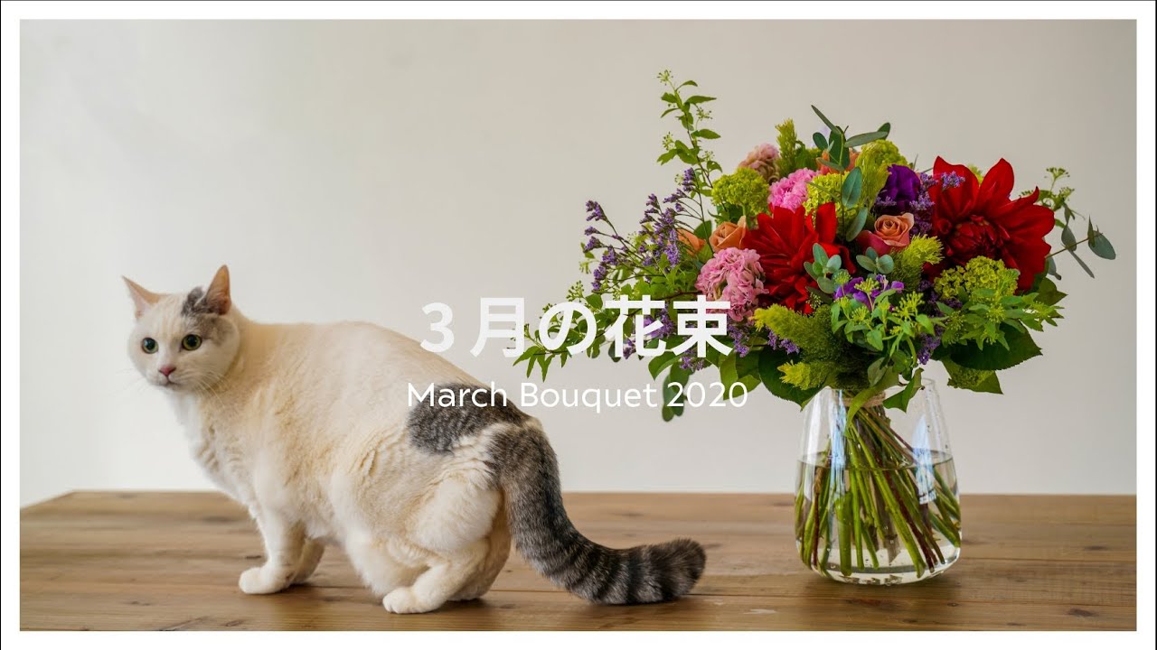 March Bouquet 3月の花束 Youtube