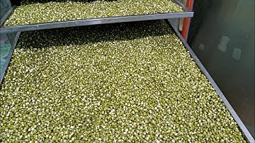 Sấy hạt mầm để làm Ngũ  Cốc,gửi đi Thuận Thành,Bắc Ninh cho chị Thanh Ngân| Bột ngũ cốc mầm Kim Hồng