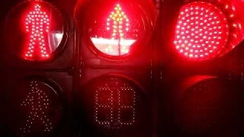 200mm LED Pedestrian Light with Green Countdown Timer - fama traffic