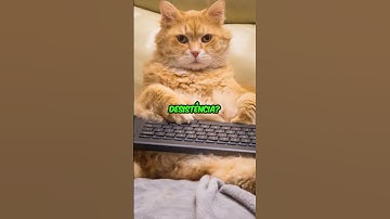 Desafiando devs 5 #dev #programação #programador