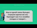 Жил в одной семье бульдог и страшно храпел во сне...Лучшие и смешные анекдоты! Выпуск 21