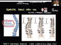 History of Corrective maneuvers in Adolescent Idiopathic Scoliosis surgery by Dr Kshitij Chaudhary
