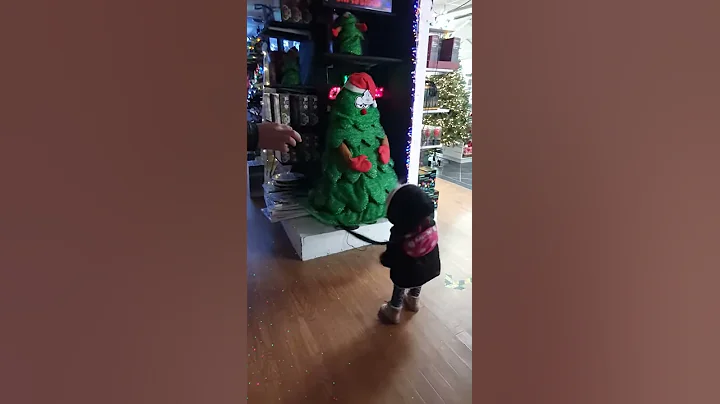 Christmas joy
