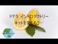 イントロダクトリーキット（ラベンダー・レモン・ペパーミント 各5ml）