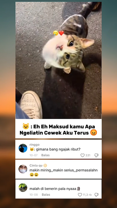 😾: Dih sok asik lu
