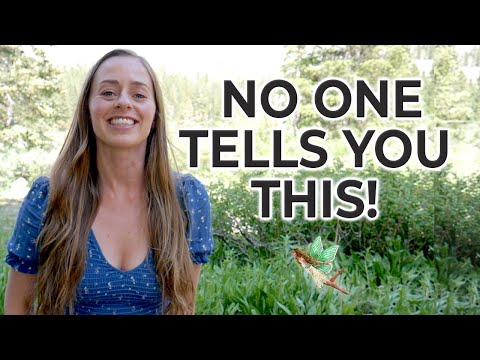 5 Ways to Deepen Your Connection with Nature & Elementals