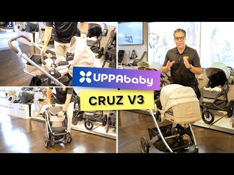 NEW UPPAbaby Cruz