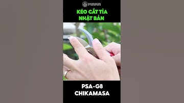 Kéo cắt cành cao cấp Chikamasa PSA-G8 hàng Nhật