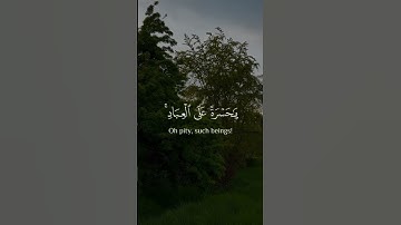 تلاوة خاشعة من سورة يس 🎧🥺 الشيخ محمد اللحيدان