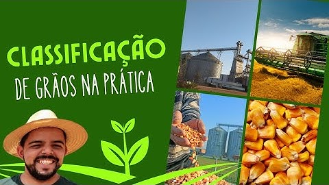 Classificação de Grãos na Prática Como é o Dia de um Classificador