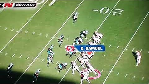 Wing Counter Trap with Fly Sweep Action