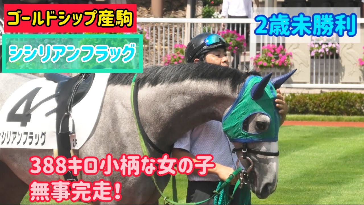 ゴールドシップ産駒】なでなでもう〇ちもたくさんして頑張った