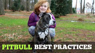 Pitbull Care: Best Practices for Fur, Nails, and Teeth Maintenance