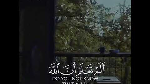 حالات واتس اب قران 🌸🖇️|| حالات واتس قرأن || تلاوة خاشعة || Quran Status🖇️🌸 اية قرانية قصيره🎧🌸