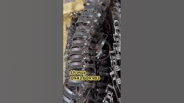 Cạm 9 đánh chuột đồng chuột thịt siêu hiệu quả