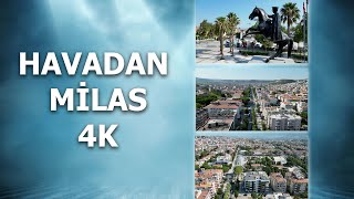 Milas, Muğlanın Kuzeyinde Yer Alan, Binlerce Yıllık Tarihi Ve Antik Kentleriyle Ünlü Bir Ilçedir.