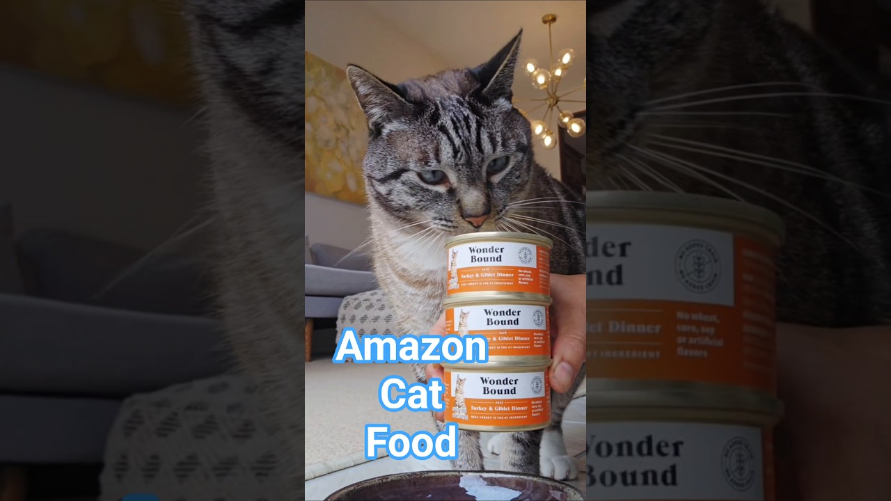 Amazon Cat Food