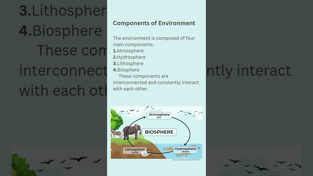 Components of Environment |#environmental components#environmental science #environment  #education