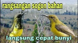 sogon bahan mana yg gak ikutan bunyi