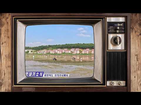 North Korea Live TV - Daily