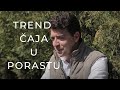 Trend čaja u porastu