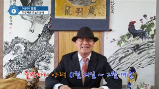 2020년 별자리운세 점성술 물병자리 특성 행운의숫자 색