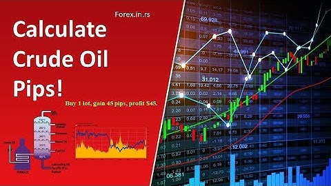 What is Crude Oil? How to Calculate Crude Oil Pips in Trading?