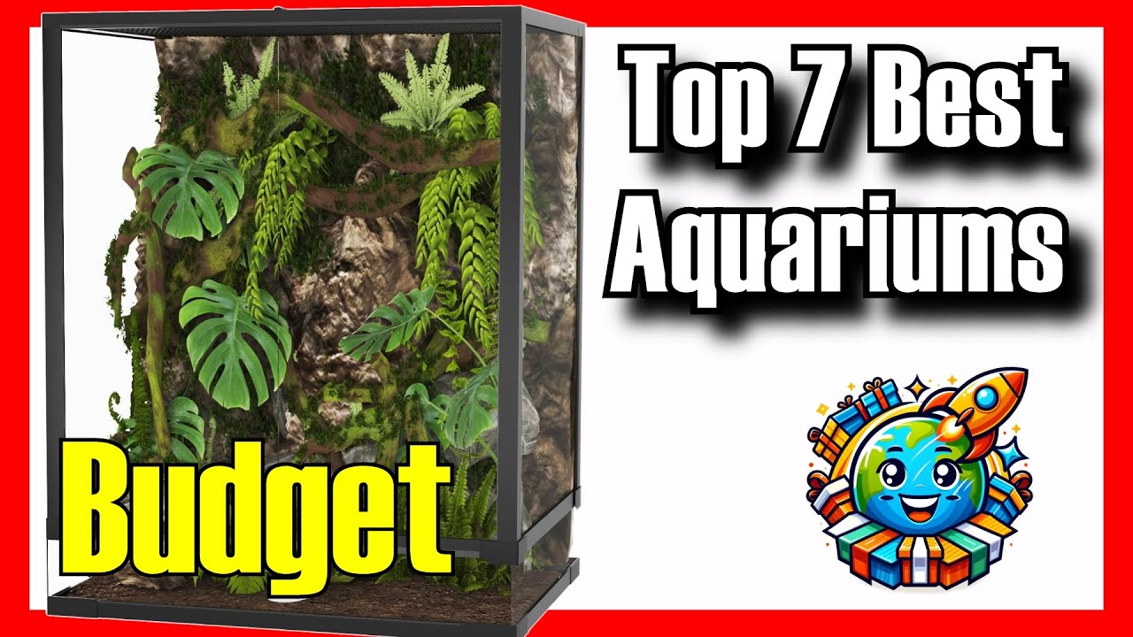 🔥 TOP 7 BEST Budget Aquariums to Buy on Amazon [2025]✅[Cheap] Fish Tanks