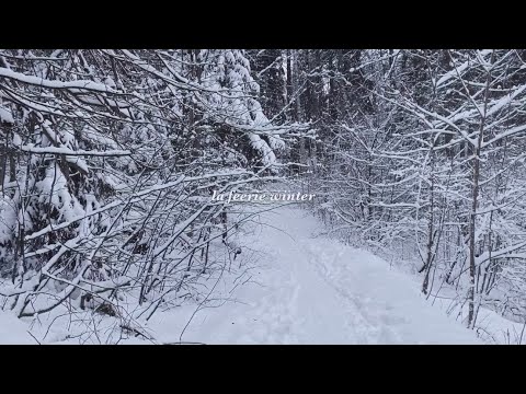 La Féerie Winter — A Short Film