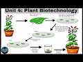 Unit 4: Plant Biotechnology - Biotechnology Lectures - Microbiology Class - by Doctor-Dr | Easy Lecs