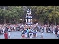 Castells de catalunya  the human towers of catalunya