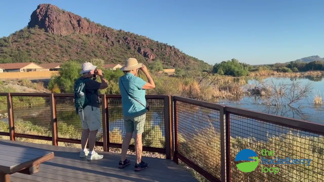 Discover water views and wildlife on The Loop at El Rio Preserve