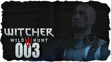 The Witcher 3 : Wild Hunt - Part 3 | MISSING IN ACTION